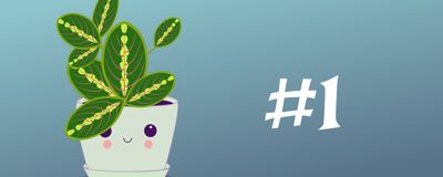 Featured article image: 30 Days Without Tobacco: The Milestone of Metabolic Liberation